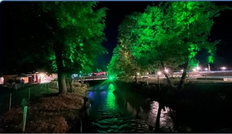 Grün beleuchtete Bäume an der Suhre bei Nacht